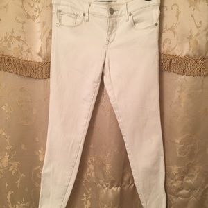 Express Pants